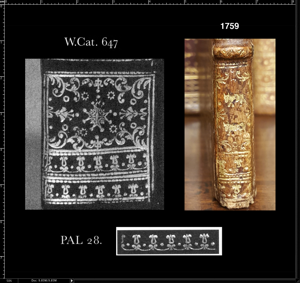 click to enlarge